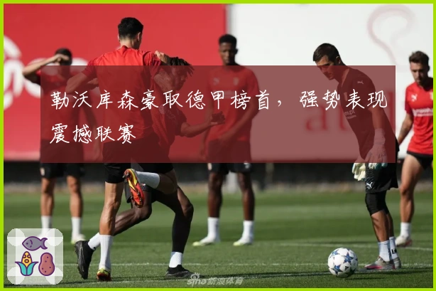 勒沃库森豪取德甲榜首，强势表现震撼联赛