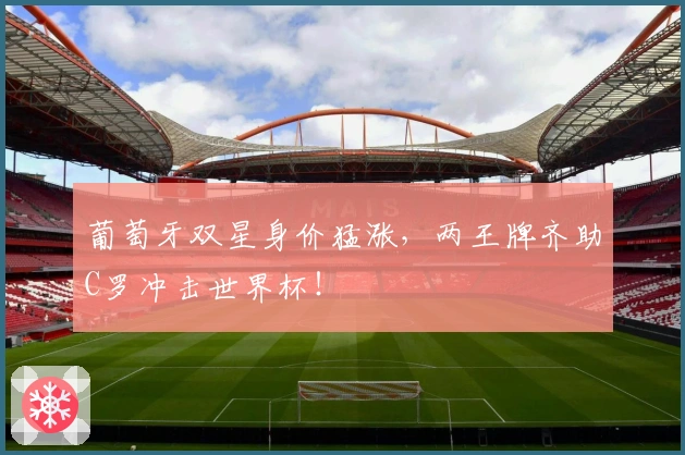 葡萄牙双星身价猛涨，两王牌齐助C罗冲击世界杯！