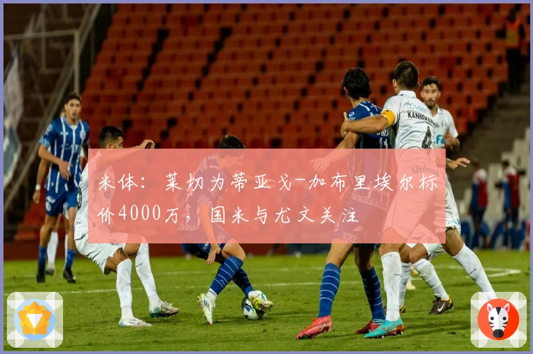 米体:莱切为蒂亚戈-加布里埃尔标价4000万,国米与尤文关注