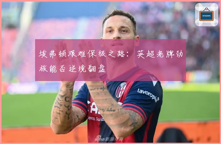 埃弗顿艰难保级之路：英超老牌劲旅能否逆境翻盘