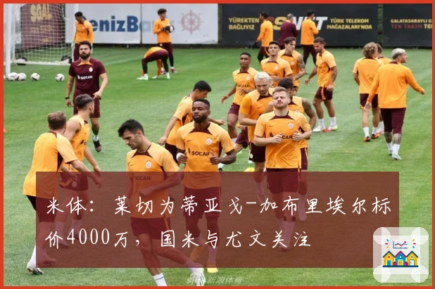 米体：莱切为蒂亚戈-加布里埃尔标价4000万，国米与尤文关注